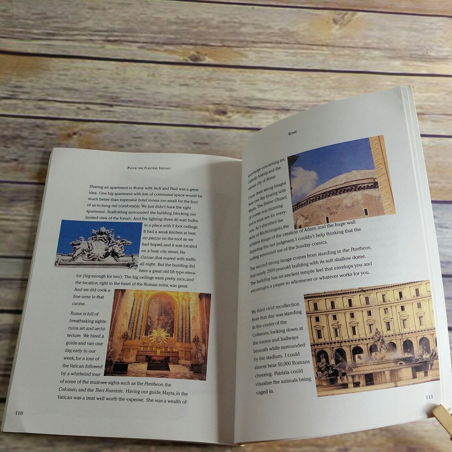 Italian Cookbook Pluck the Fleeting Instant Recipes Recollections of Italy