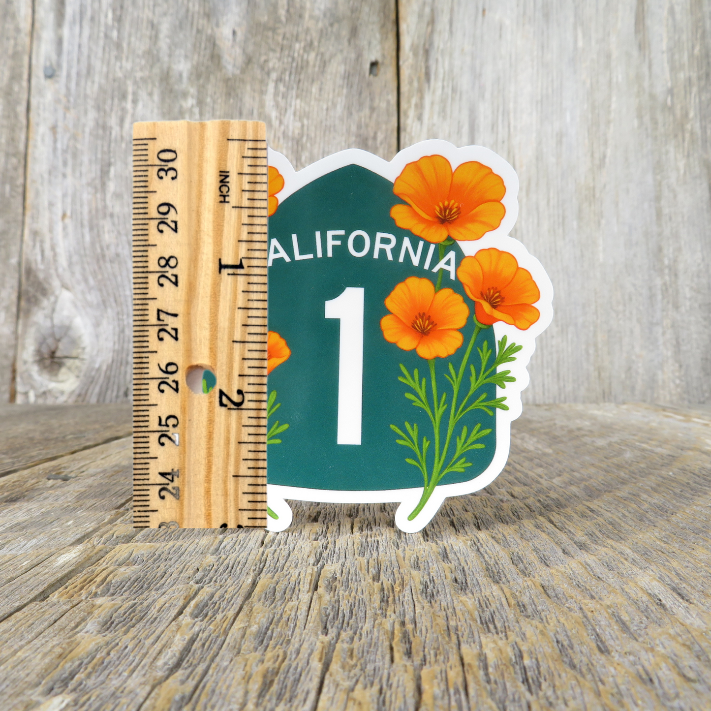 California Highway 1 Sign Sticker Green Pacific Coast HWY Poppies Souvenir Travel