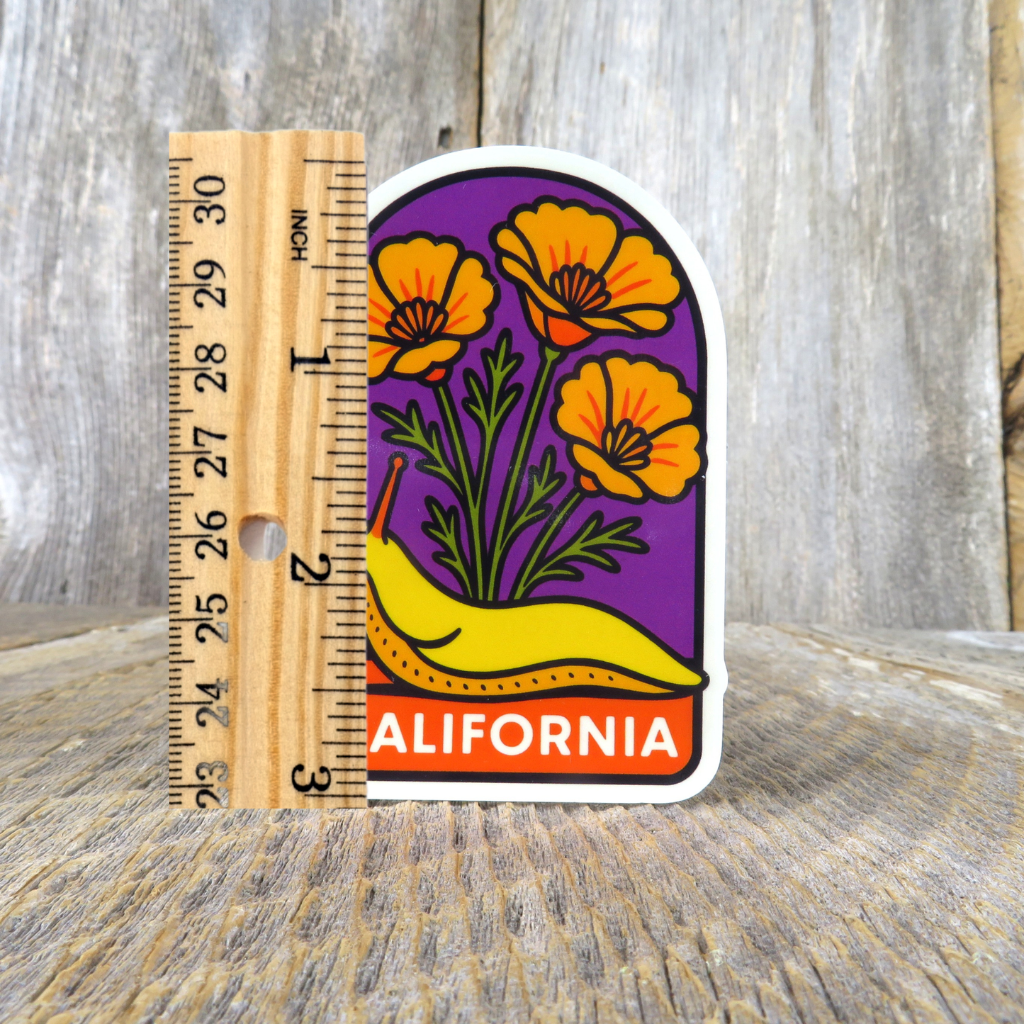 California Poppy Banana Slug Sticker State Flower Travel Souvenir