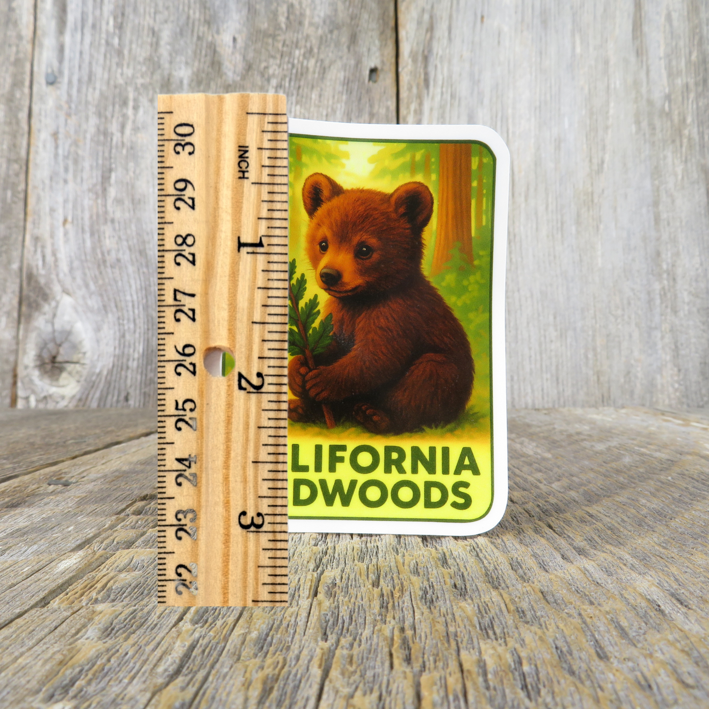 California Sticker Bear Cub Holding Redwood Branch Sticker Travel Souvenir Sticker