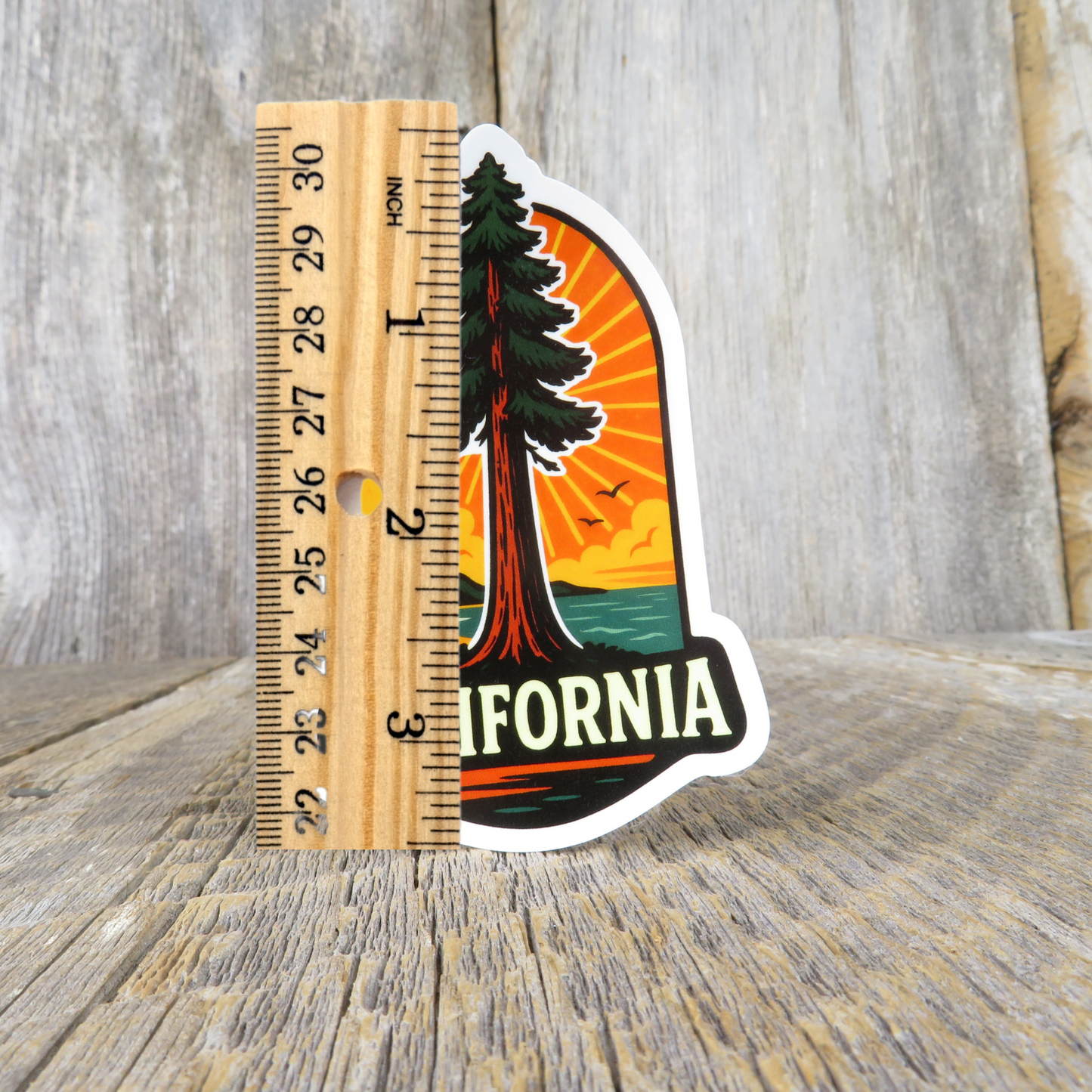 Redwood Tree California Sticker Sunburst Coast Souvenir Sticker