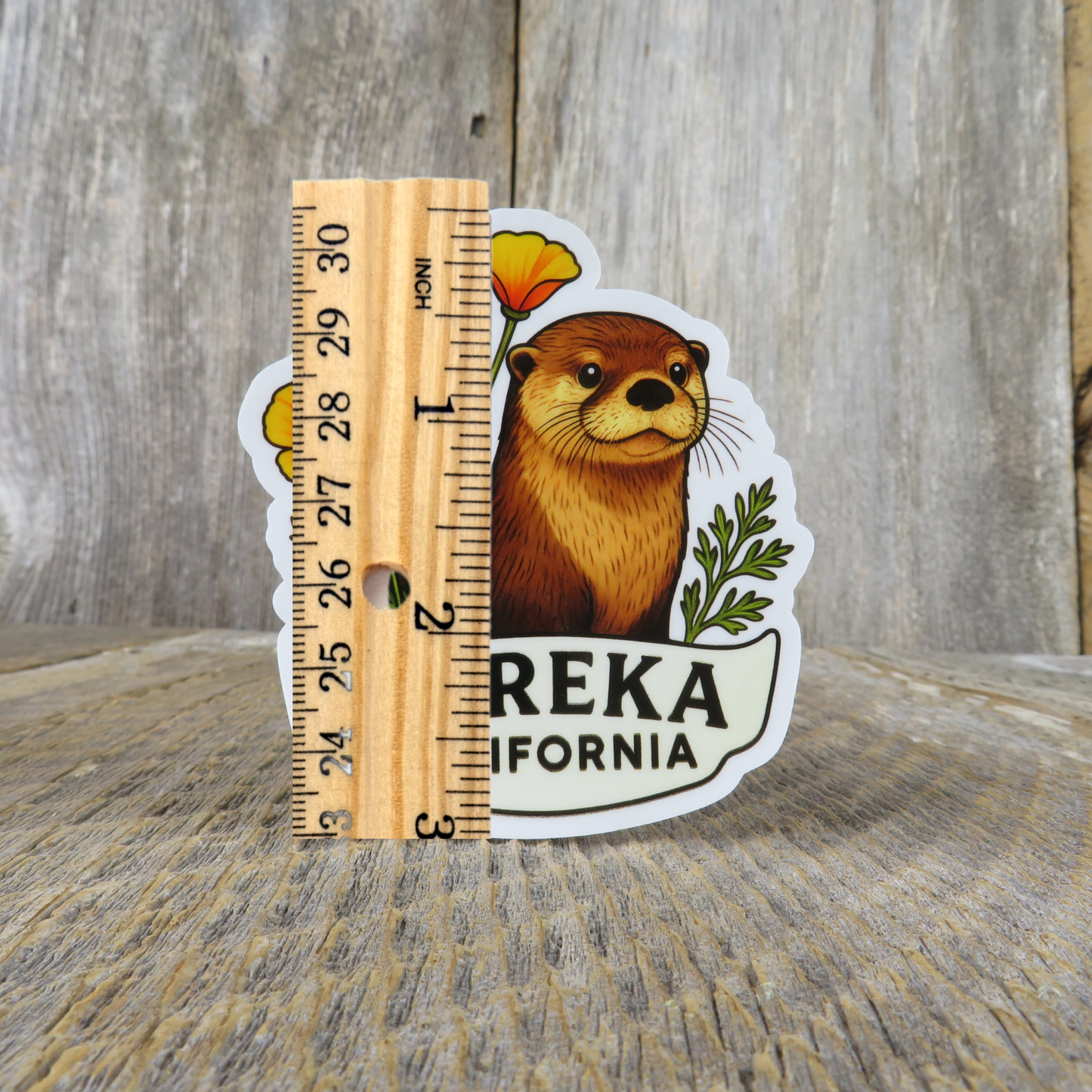 Eureka California River Otter Poppies Sticker Souvenir Travel Sticker