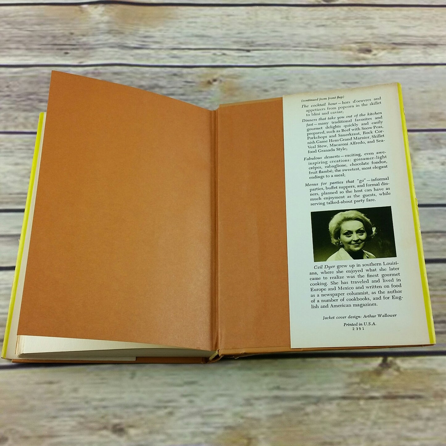 Vintage Cookbook Quick and Easy Electric Skillet Frypan Frying Fry Pan Hardcover 1969 Ceil Dyer with Dust Jacket - At Grandma's Table