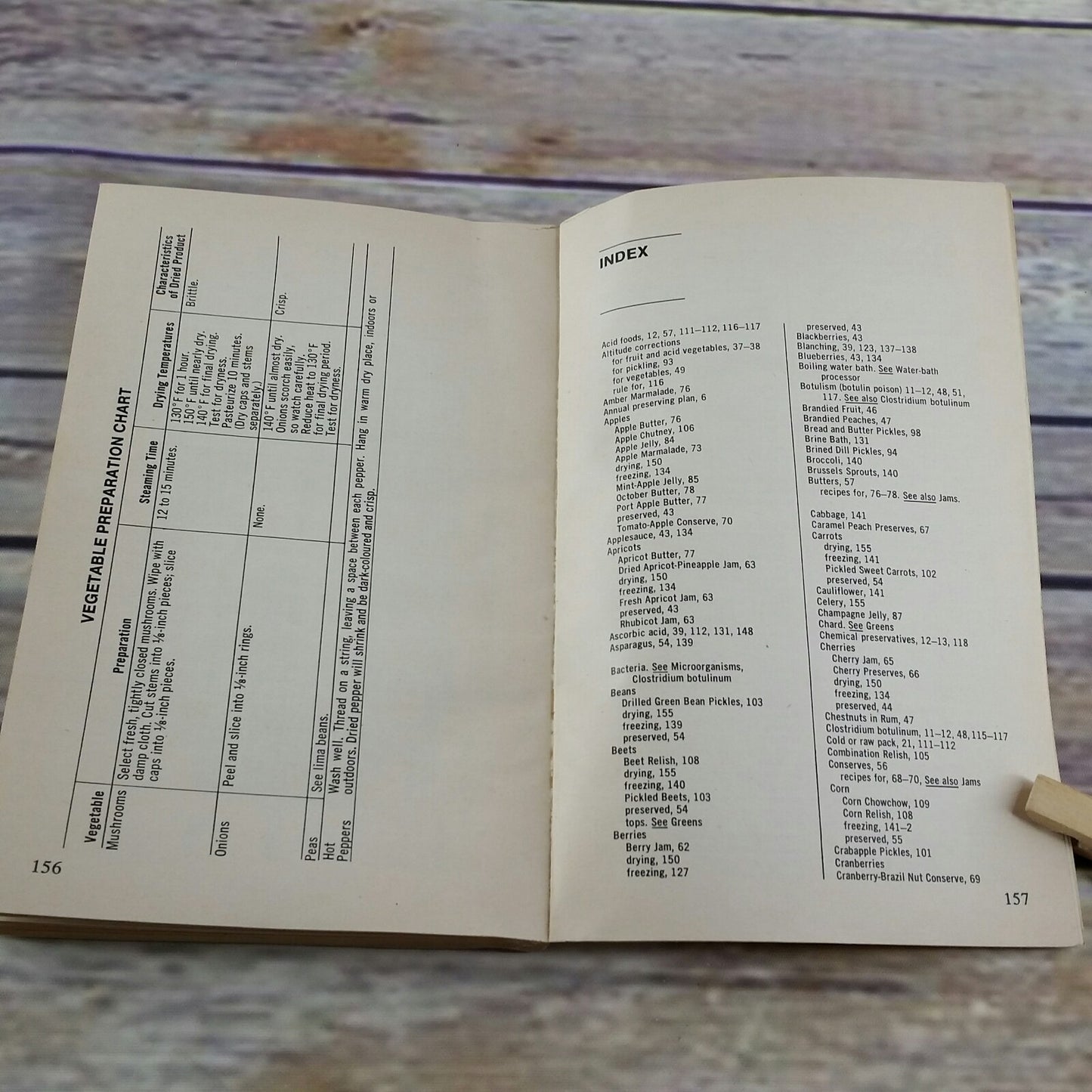 Vintage Cookbook The How to Book Canning Freezing Drying Anne Borella 1976 - At Grandma's Table