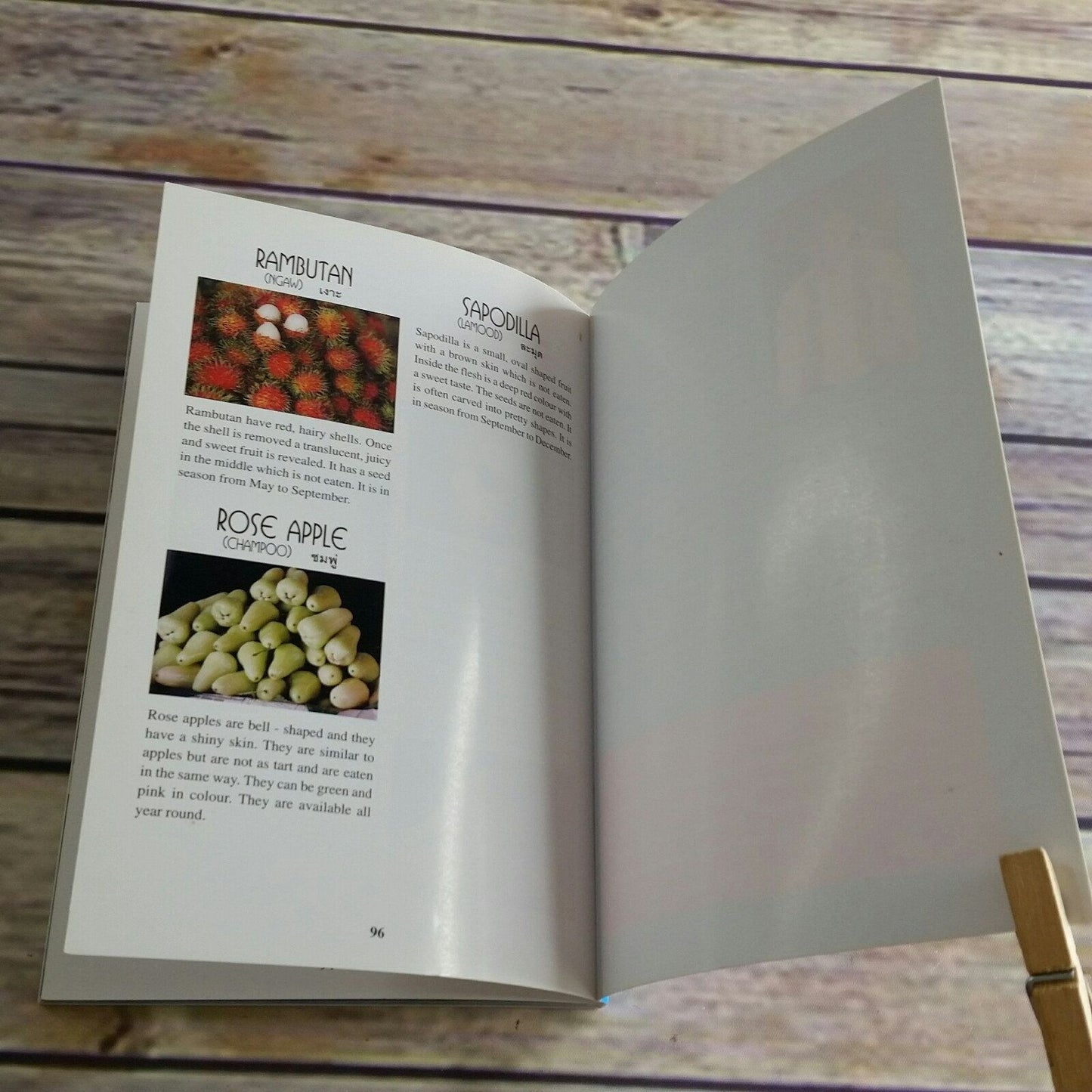 Vintage Cook Book Chiang Mai Thai Cookery School Thailand Cookbook Recipes Lonely Planet Thai Recipes 2000 Paperback