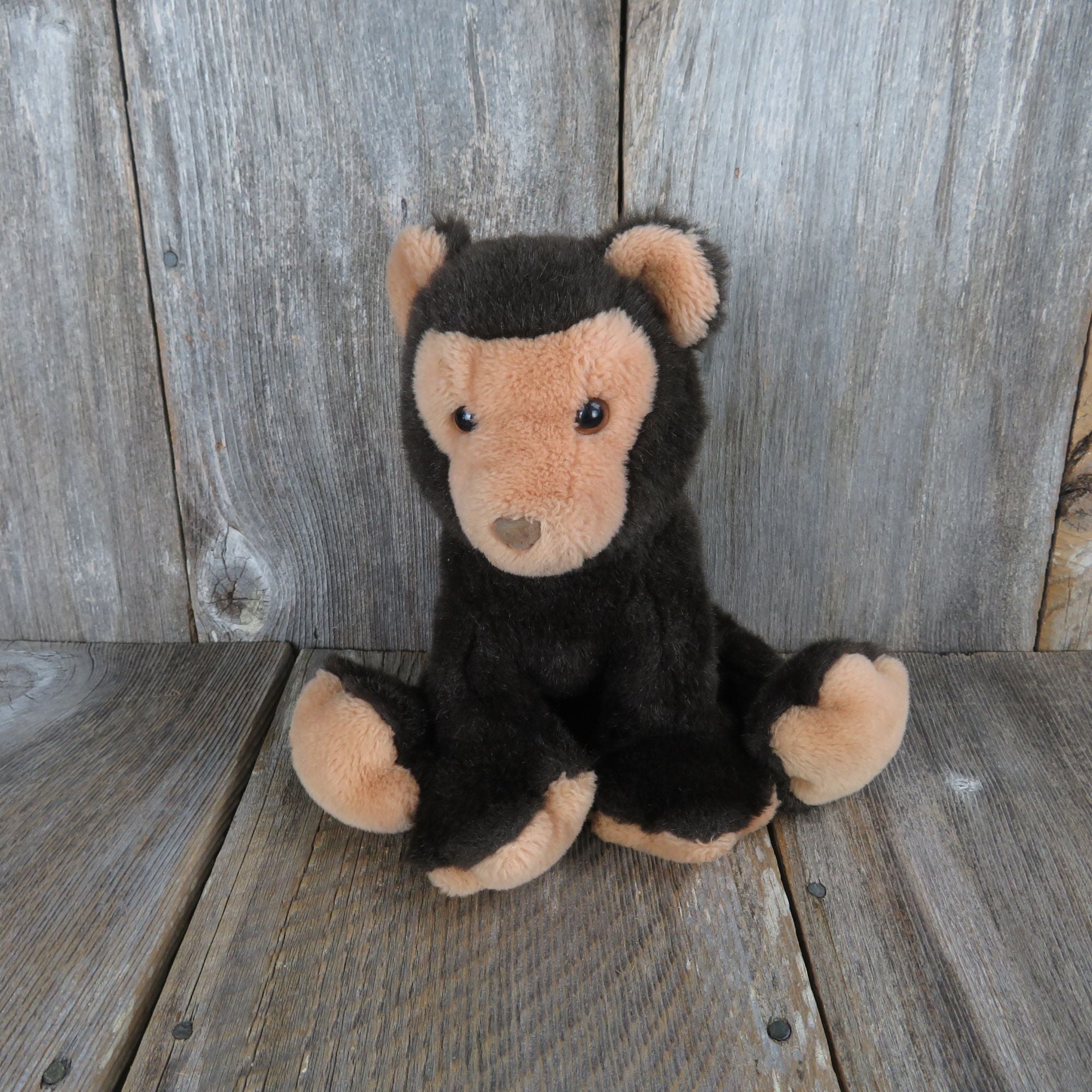 R dakin online co teddy bear