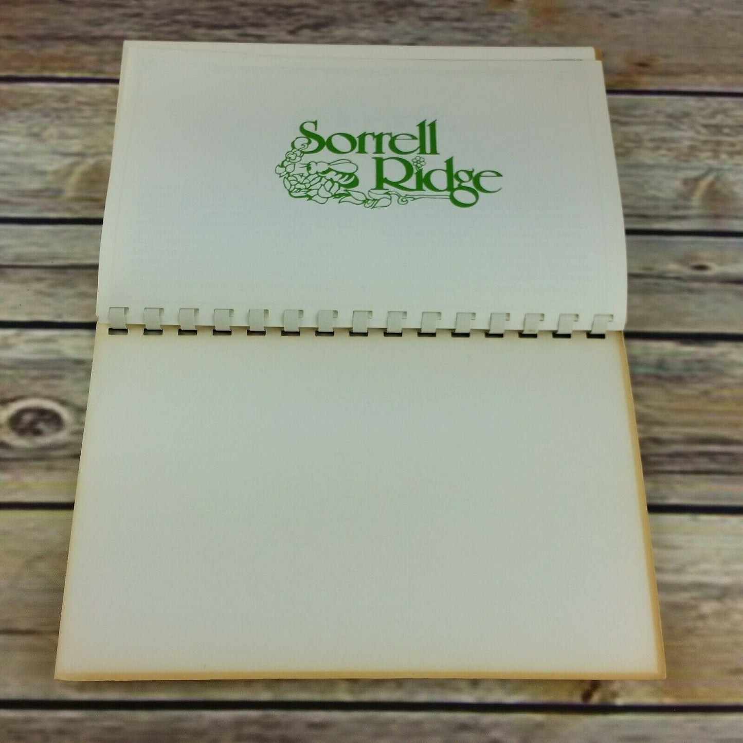 Vintage Cookbook Sorrell Ridge Spreadable Fruit Promo Recipes No Refined Sugar - At Grandma's Table
