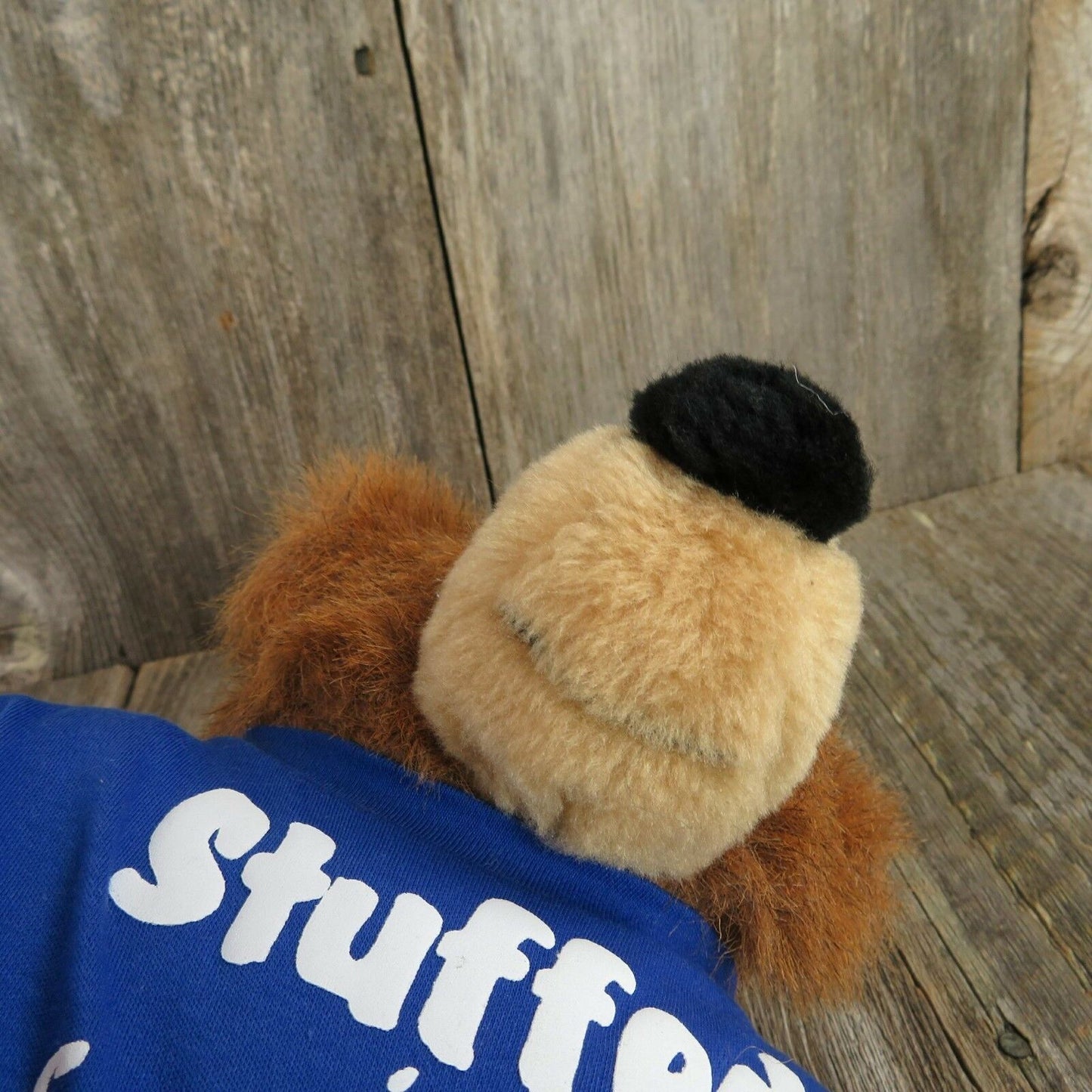 Vintage Teddy Bear Plush San Francisco Basic Brown Factory Souvenir Build Stuffed Animal - At Grandma's Table