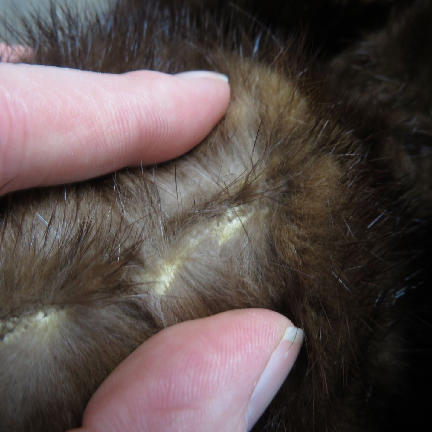 Vintage Jointed Teddy Bear Plush Real Fur Stuffed Animal Brown Hair Suede Paws Glass Eyes