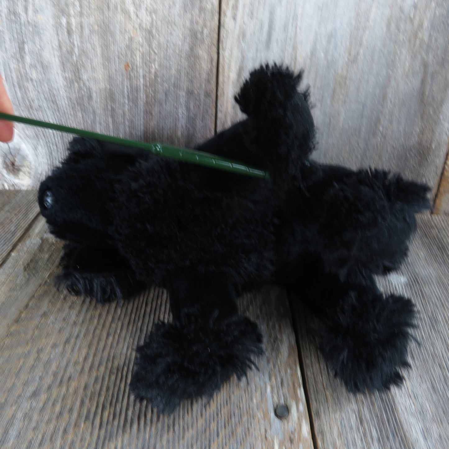 Poodle Dog Gigi Plush Ty Beanie Buddies Buddy Puppy Black Stuffed Animal Doll