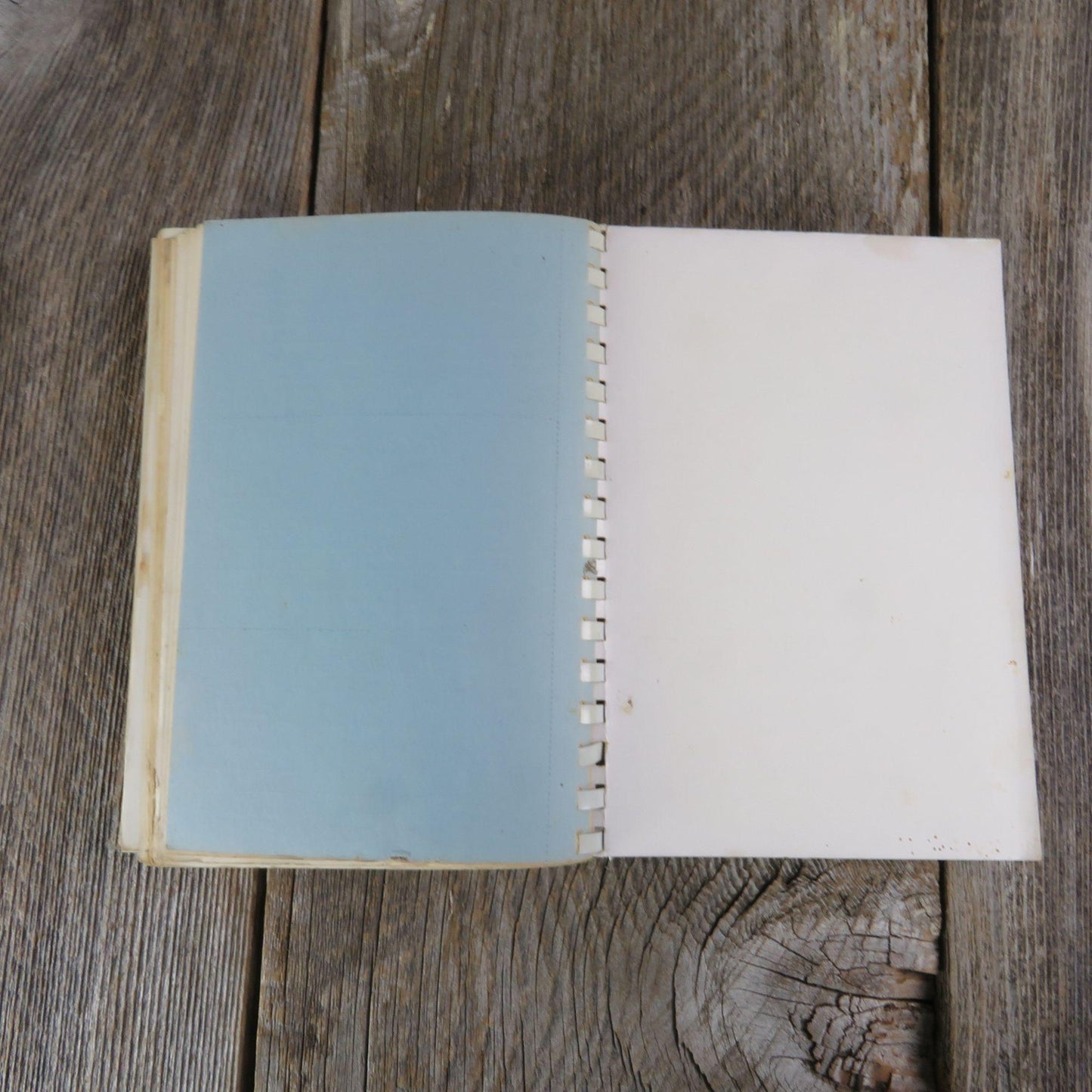 Vintage Tennessee Cookbook The Junior League of Nashville Seasons 1974