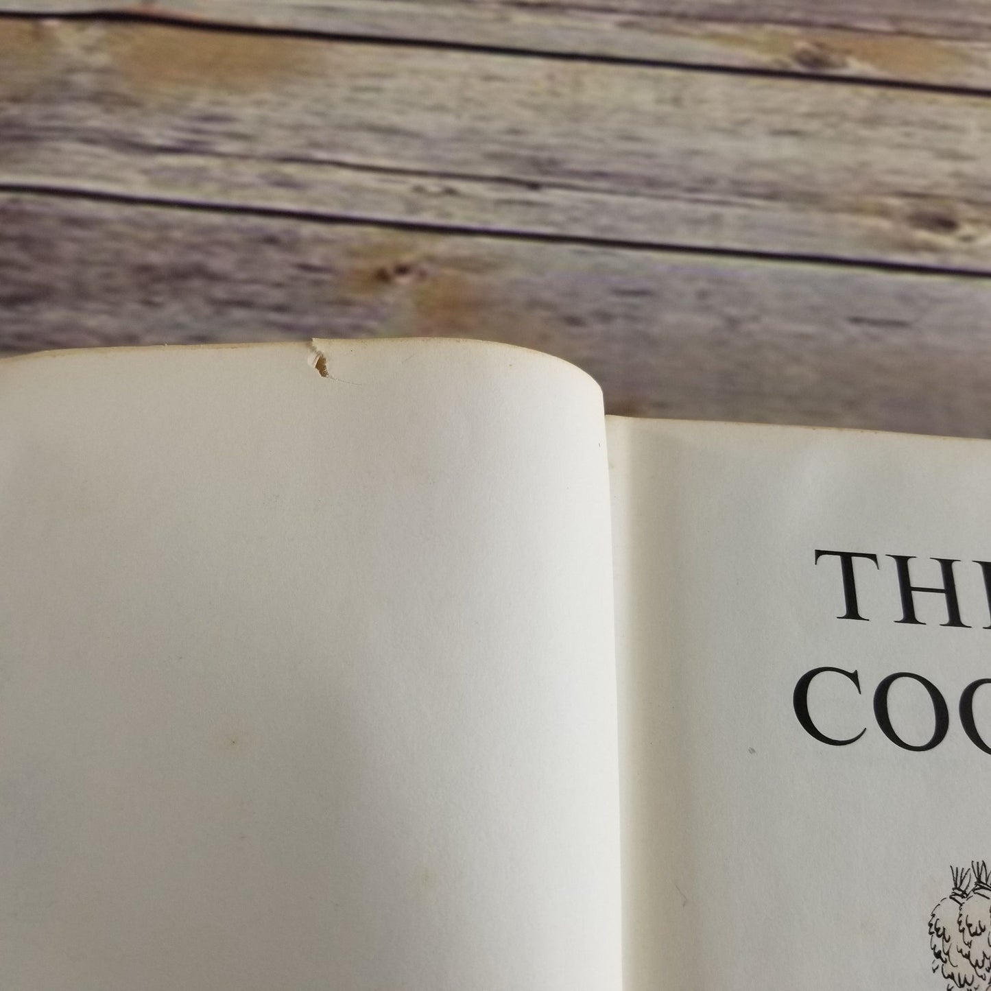 Vintage Cookbook The Spice Cook Book Recipes 1964 Hardcover NO Dust Jacket Avanelle DayLillie Stuckey