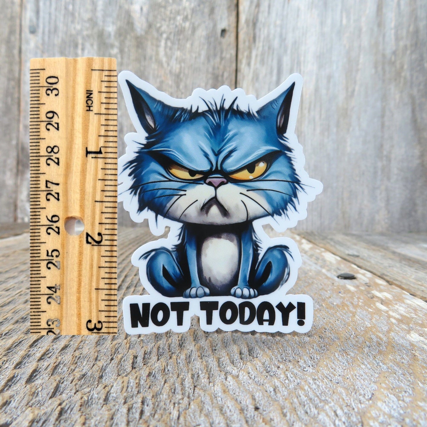Not Today Grumpy Cat Sticker Full Color Social Funny Sarcastic Outspoken