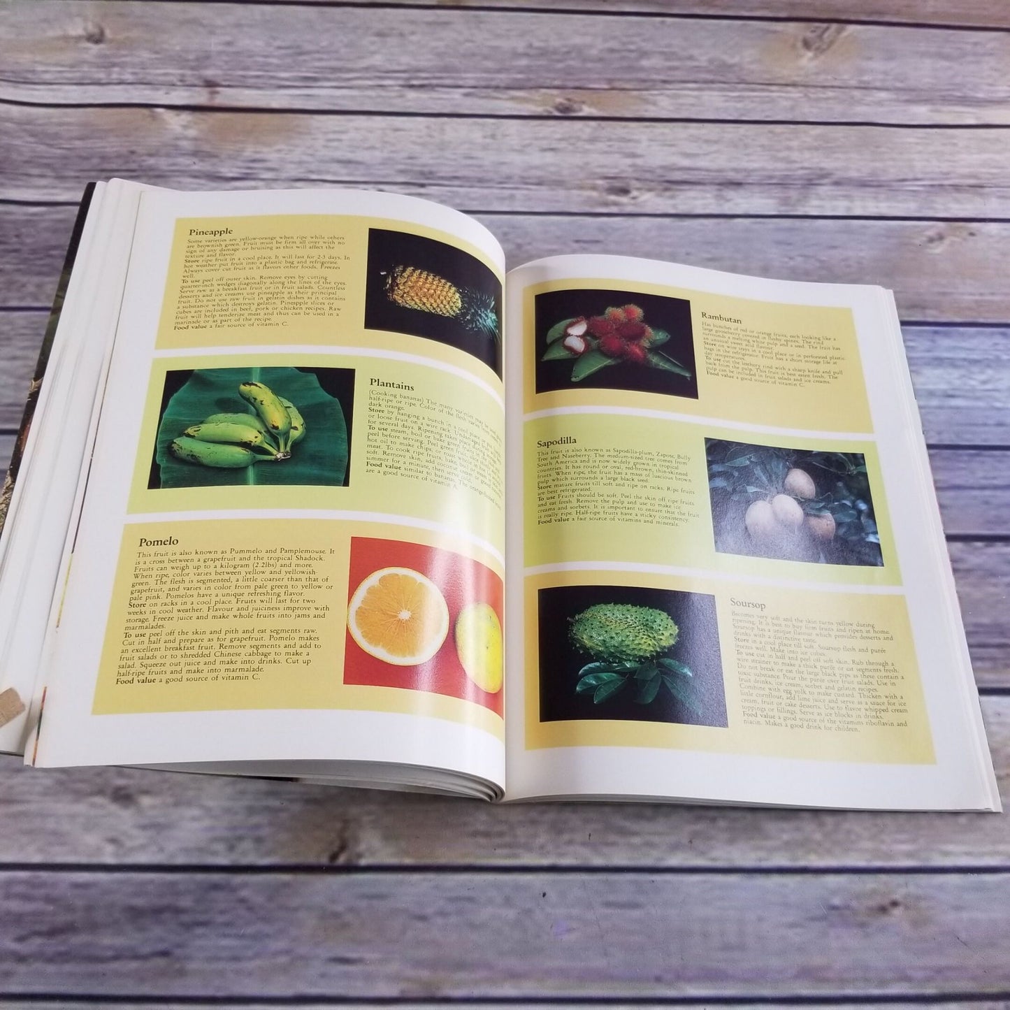 Vintage Cookbook Taste of the Tropics Recipes 1989 Paperback Book Susan Parkinson Peggy Stacy Adrian Mattinson