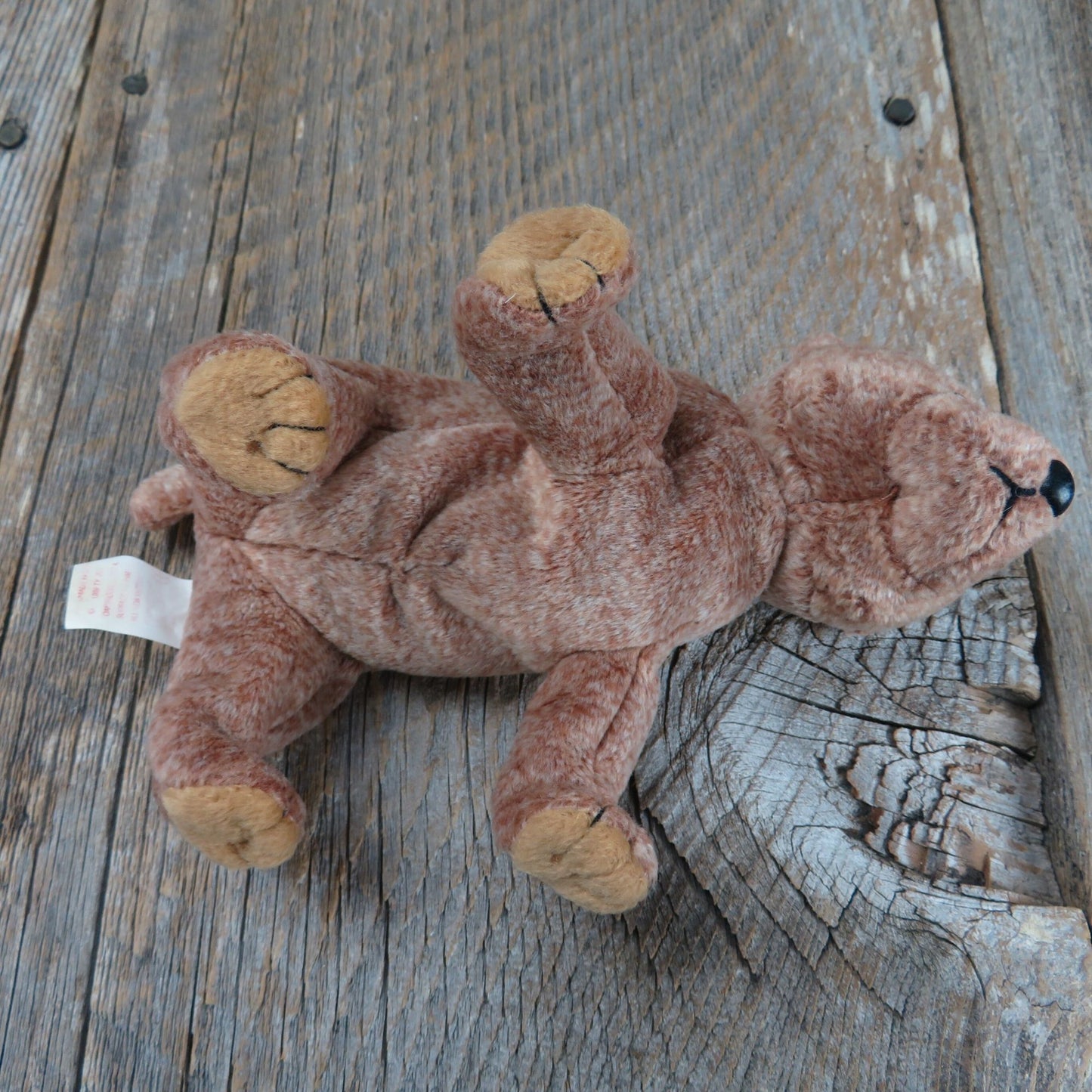 Brown Bear Plush Pecan Beanie Baby Ty 1999 Stuffed Animal Cub