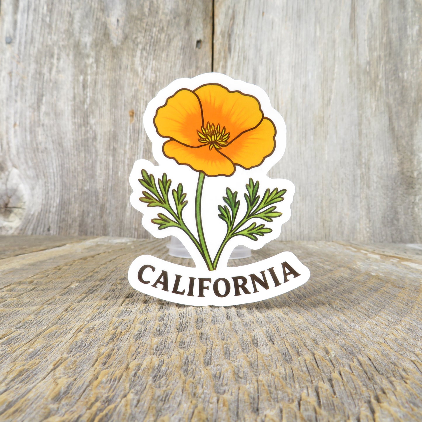 California Poppy Sticker State Flower Travel Souvenir