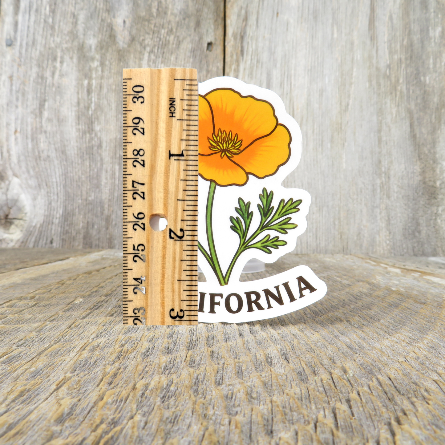 California Poppy Sticker State Flower Travel Souvenir