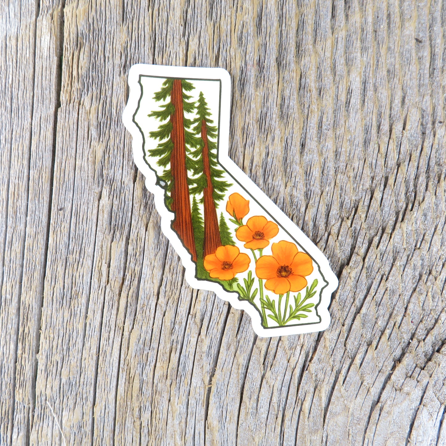 California State Shaped Sticker Redwood Trees and Poppies State Flower
