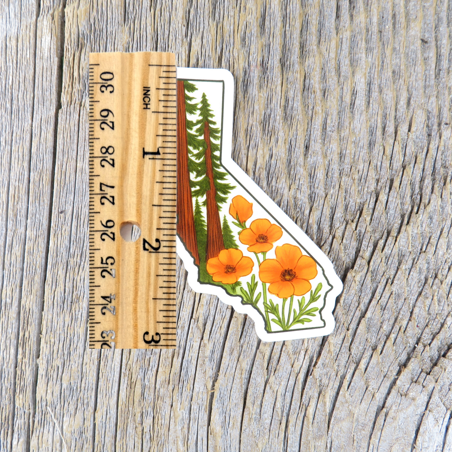 California State Shaped Sticker Redwood Trees and Poppies State Flower