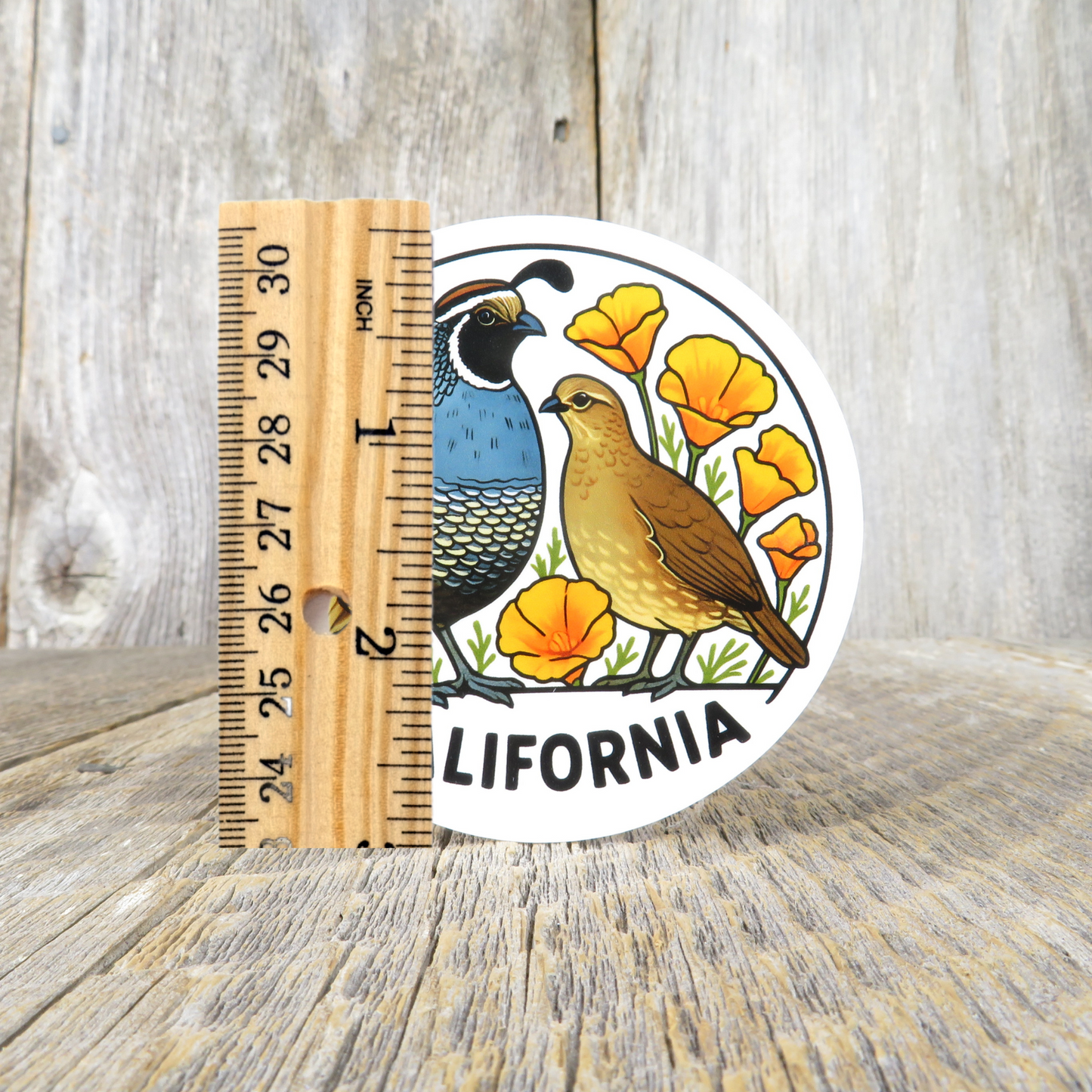 California Quail Sticker State Bird Poppies Flower Travel Souvenir