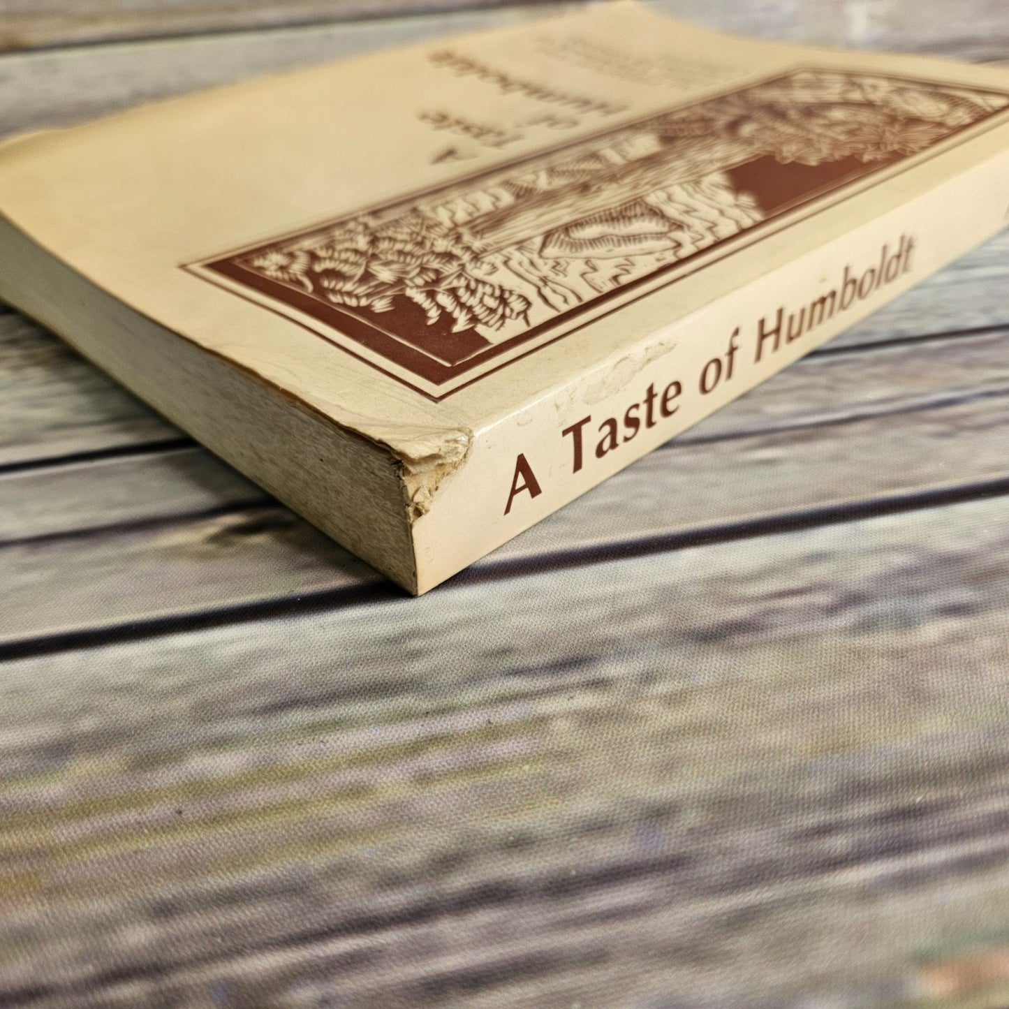 A Taste of Humboldt Cookbook Arcata California HSU Historical Ethnic 1987 Vintage State University