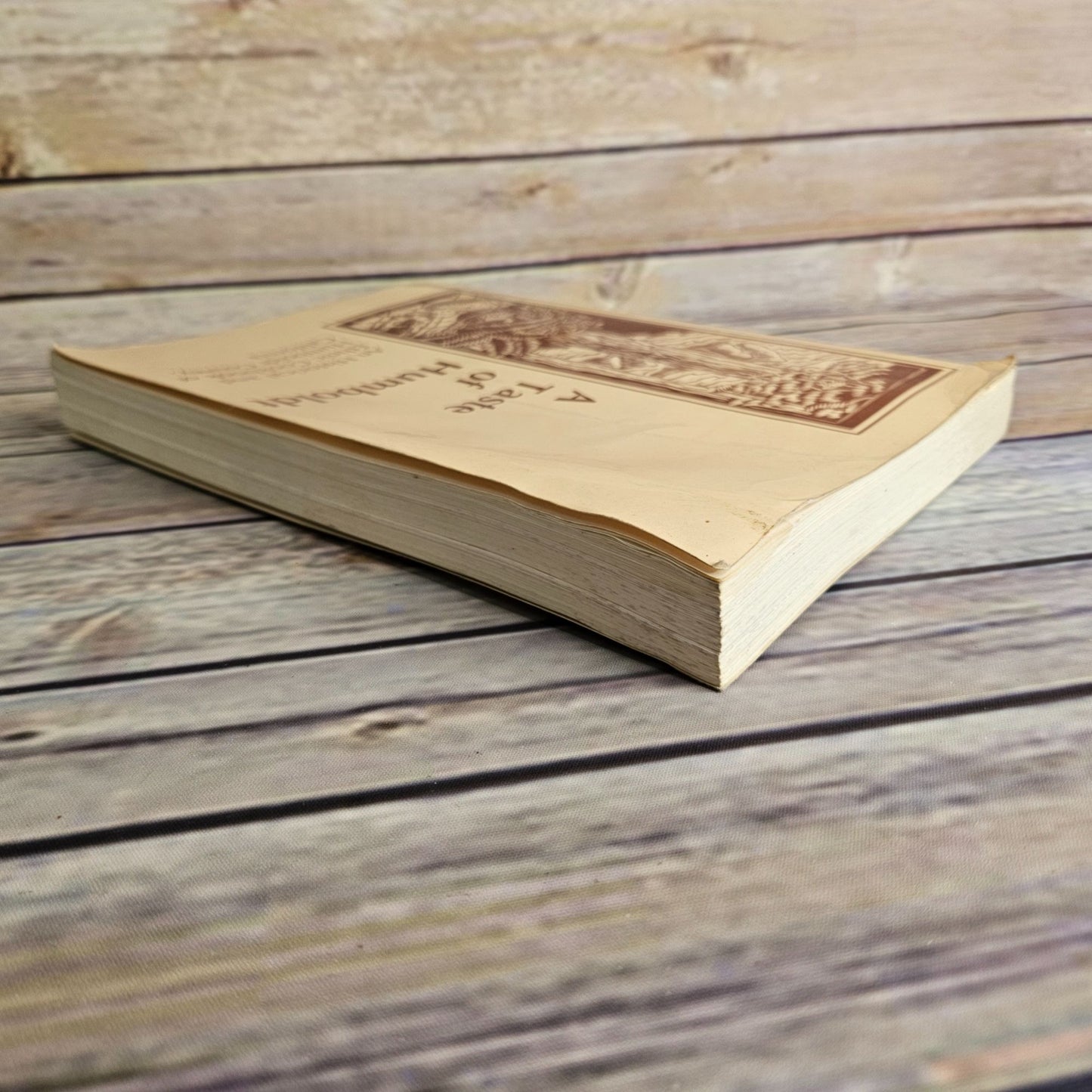 A Taste of Humboldt Cookbook Arcata California HSU Historical Ethnic 1987 Vintage State University