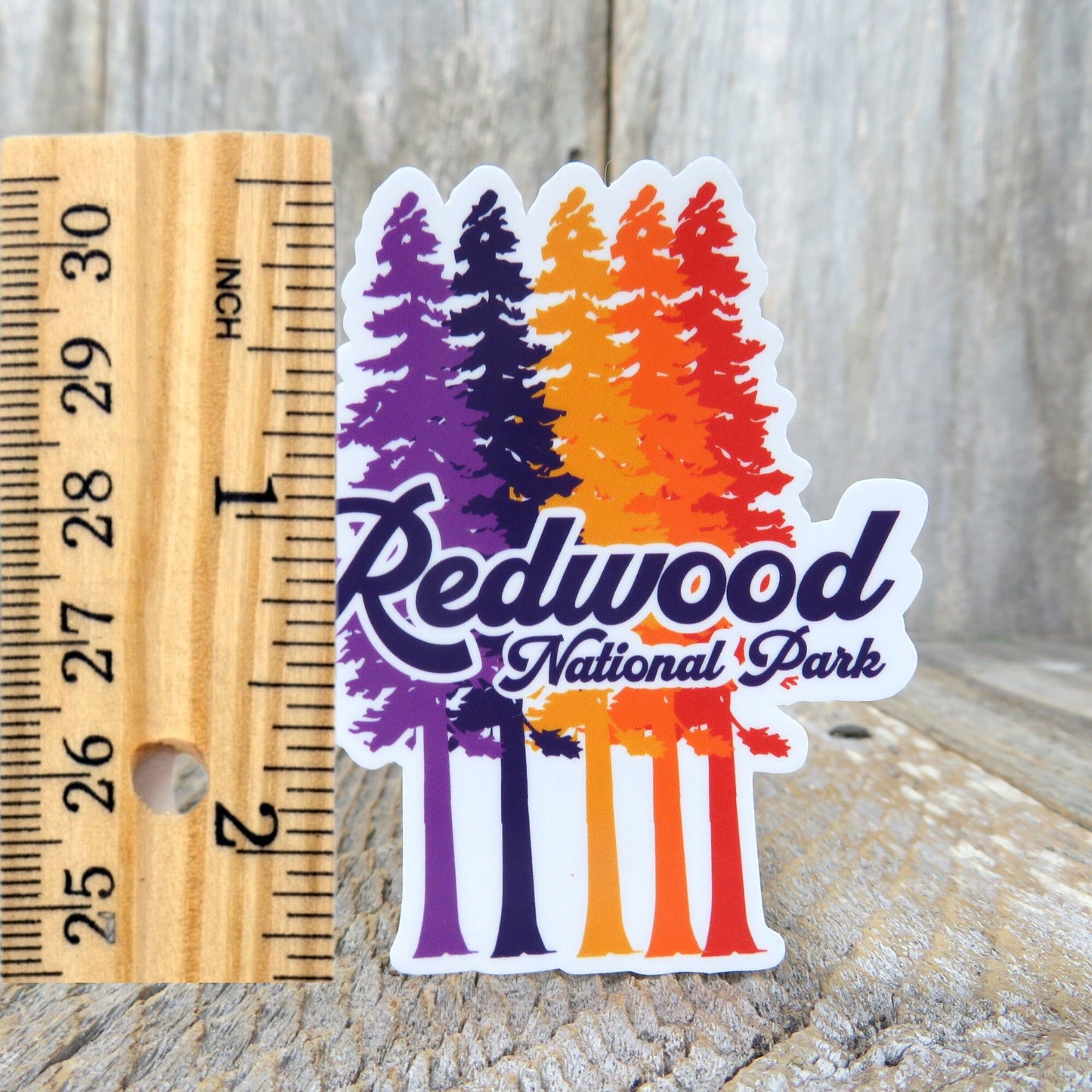 Redwood National Park California Trees Sticker Redwood Trees Purple Orange