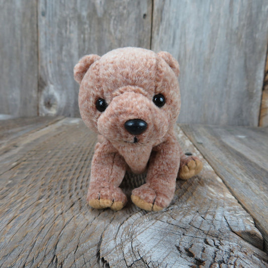 Brown Bear Plush Pecan Beanie Baby Ty 1999 Stuffed Animal Cub
