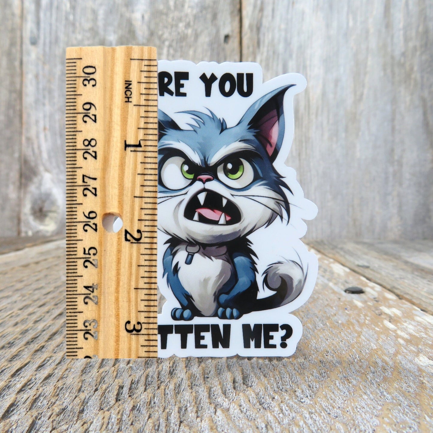 Are You Kitten Me Grumpy Cat Sticker Kidding Me Full Color Social Funny Sarcastic