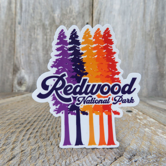 Redwood National Park California Trees Sticker Redwood Trees Purple Orange