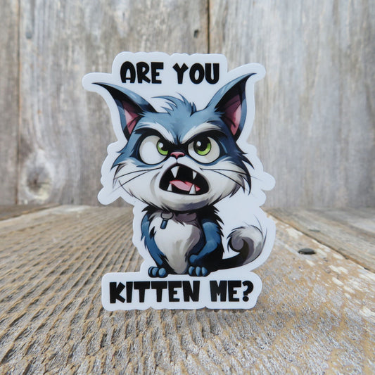 Are You Kitten Me Grumpy Cat Sticker Kidding Me Full Color Social Funny Sarcastic