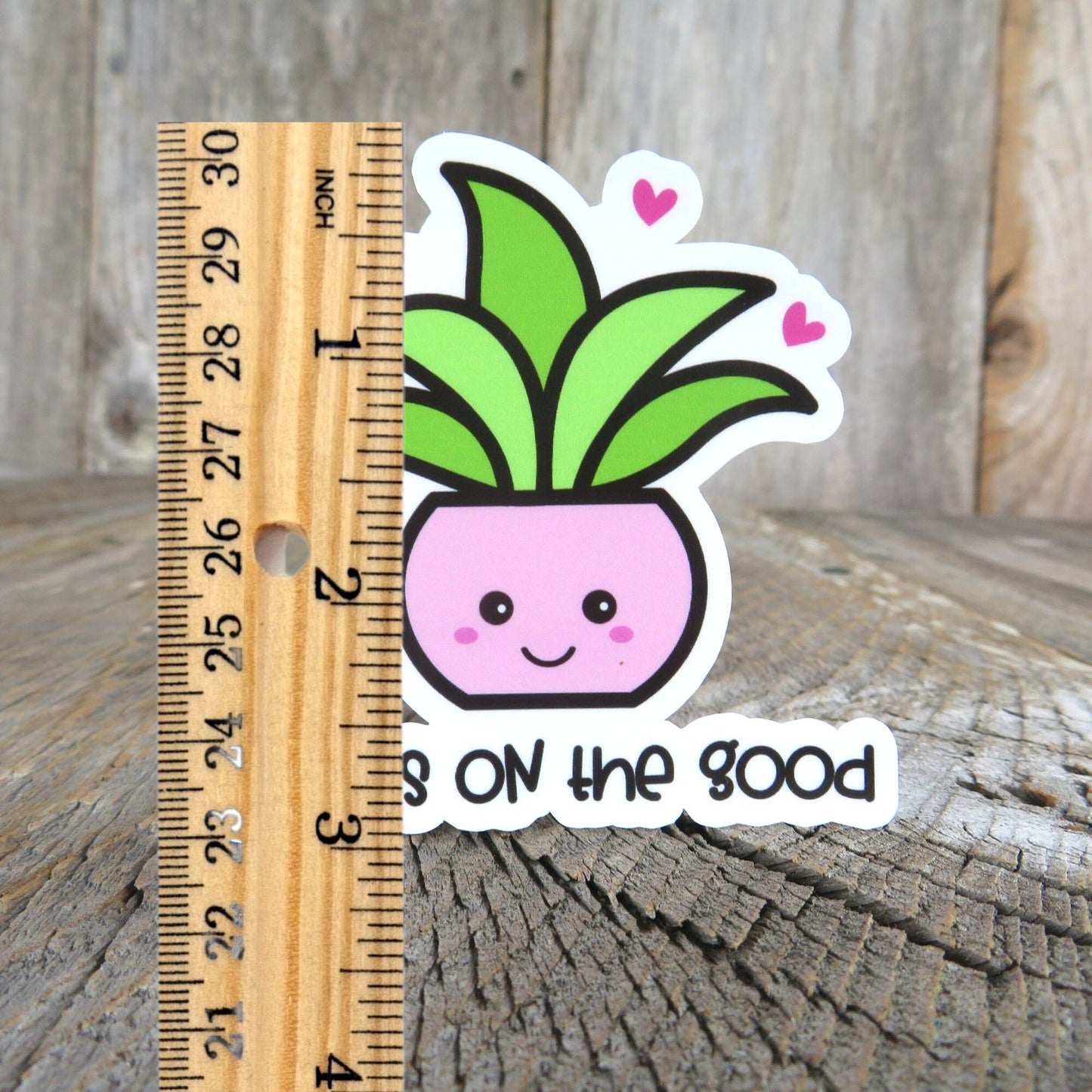 Focus On The Good Sticker Full Color Kawaii House Plant Waterproof Positive Saying Aloe Plant lovers Succulent