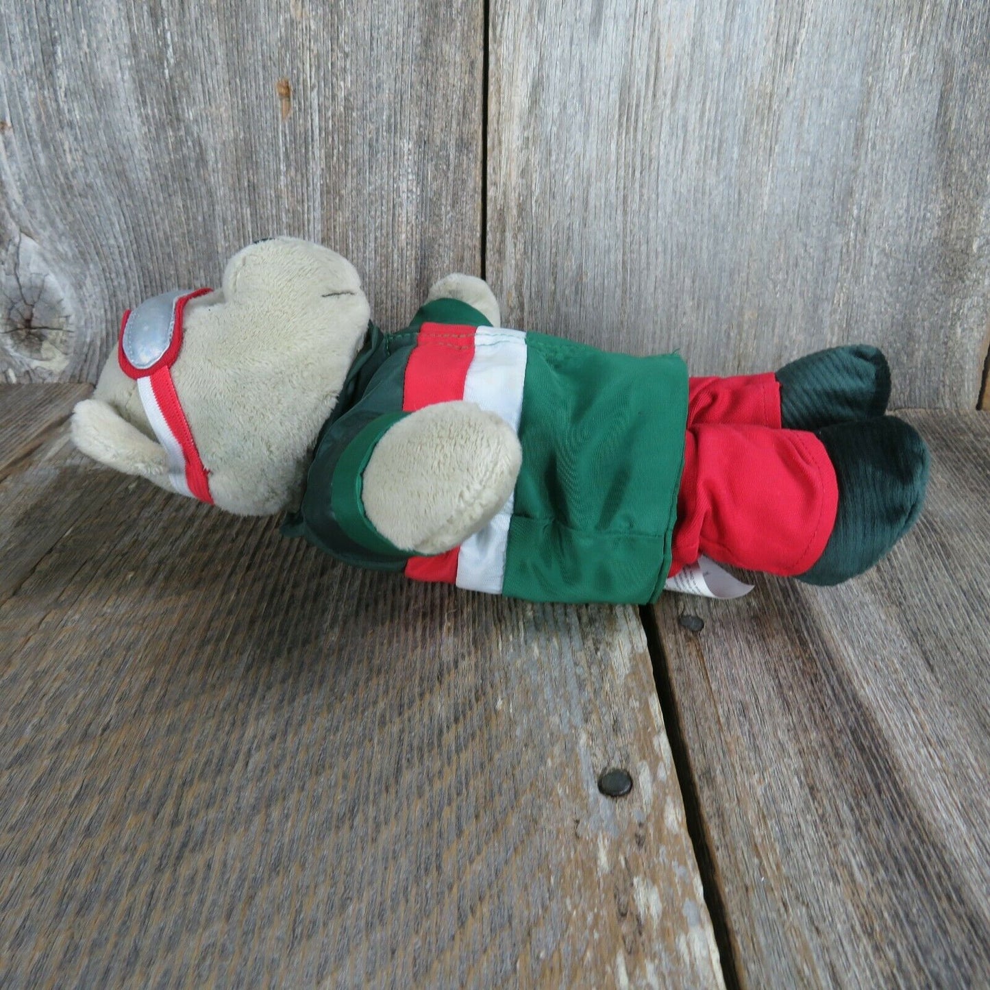 Starbucks Bearista 2019 10” Plush Bear Teddy Skier Outfit #162 Ltd Ed Coll