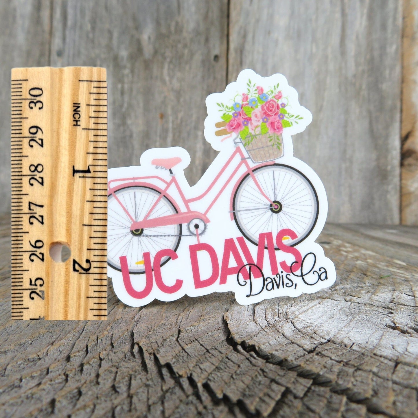 UC Davis California Sticker Pink Cruiser Bike With Flower Basket Full Color Bike Riding