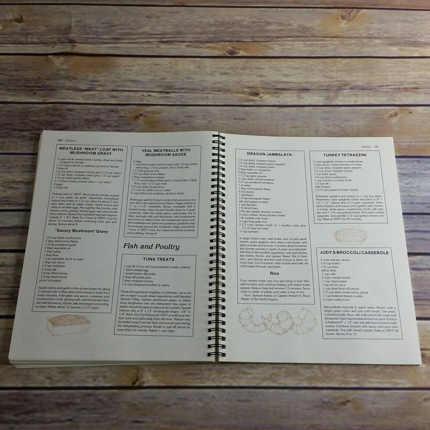 Vintage Cookbook Preserve it Naturally II Excalibur Products Recipes Instruction 1999 Guide to Food Dehydration Spiral Bound Dehydrator