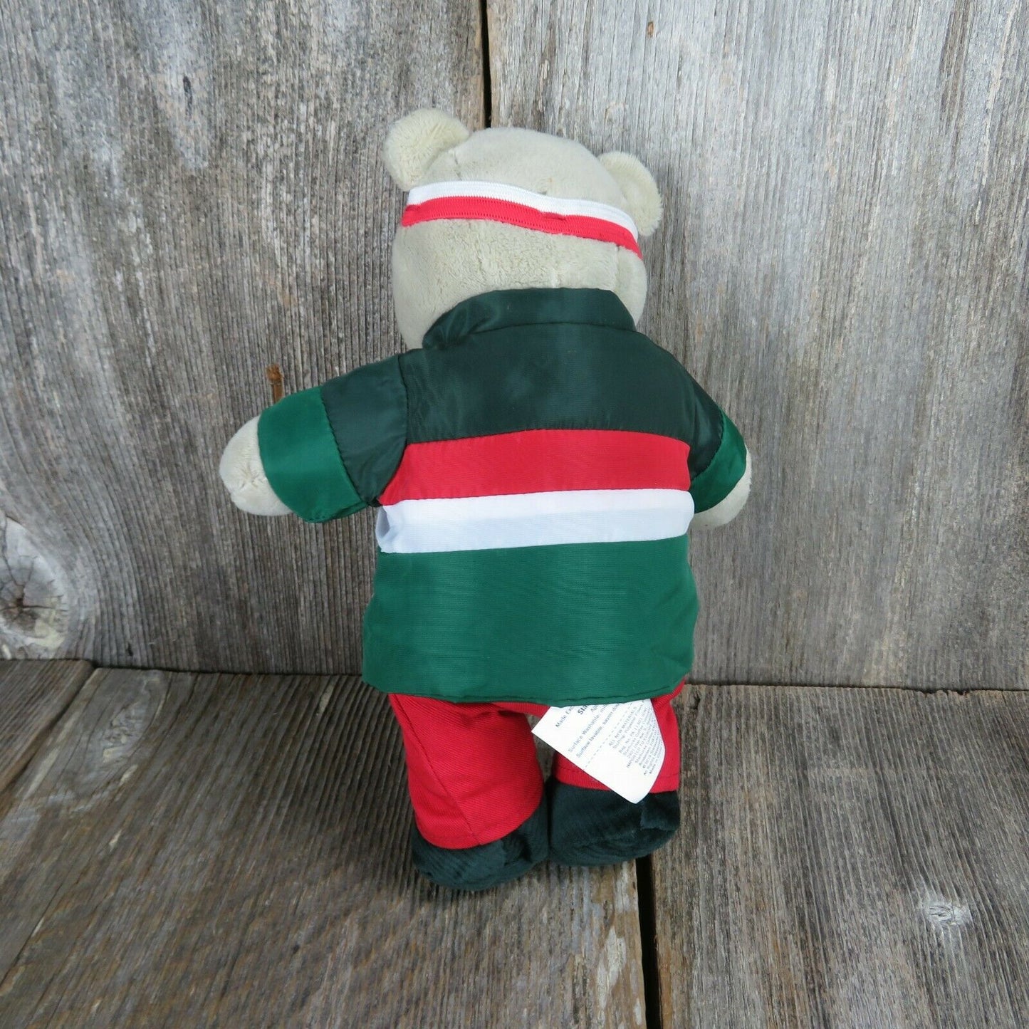 Starbucks Bearista 2019 10” Plush Bear Teddy Skier Outfit #162 Ltd Ed Coll