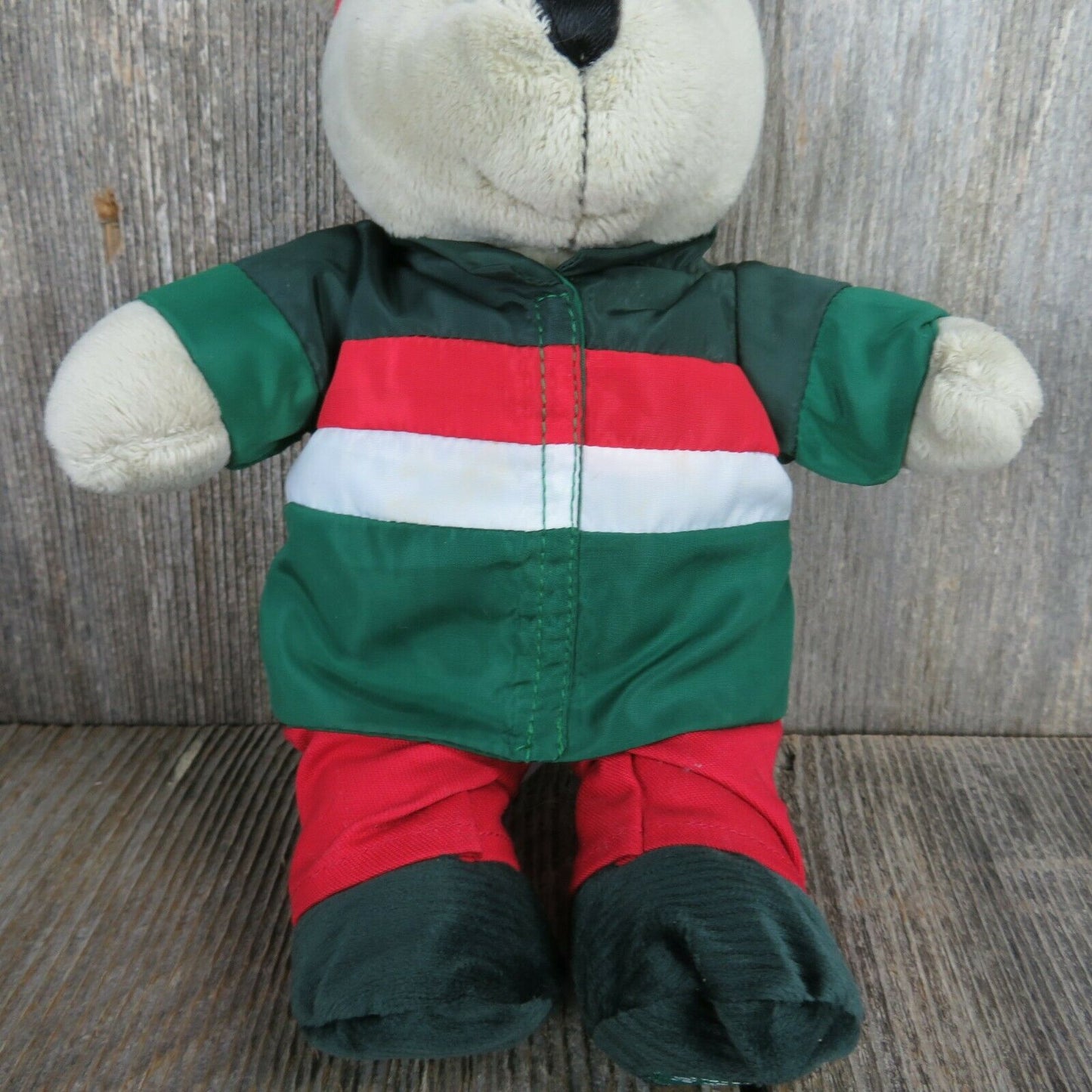 Starbucks Bearista 2019 10” Plush Bear Teddy Skier Outfit #162 Ltd Ed Coll