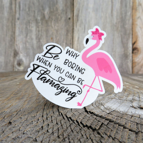 Funny Flamingo Sticker Why Be Boring When You Can BE Flamazing Full Color Waterproof Summer Be an Original
