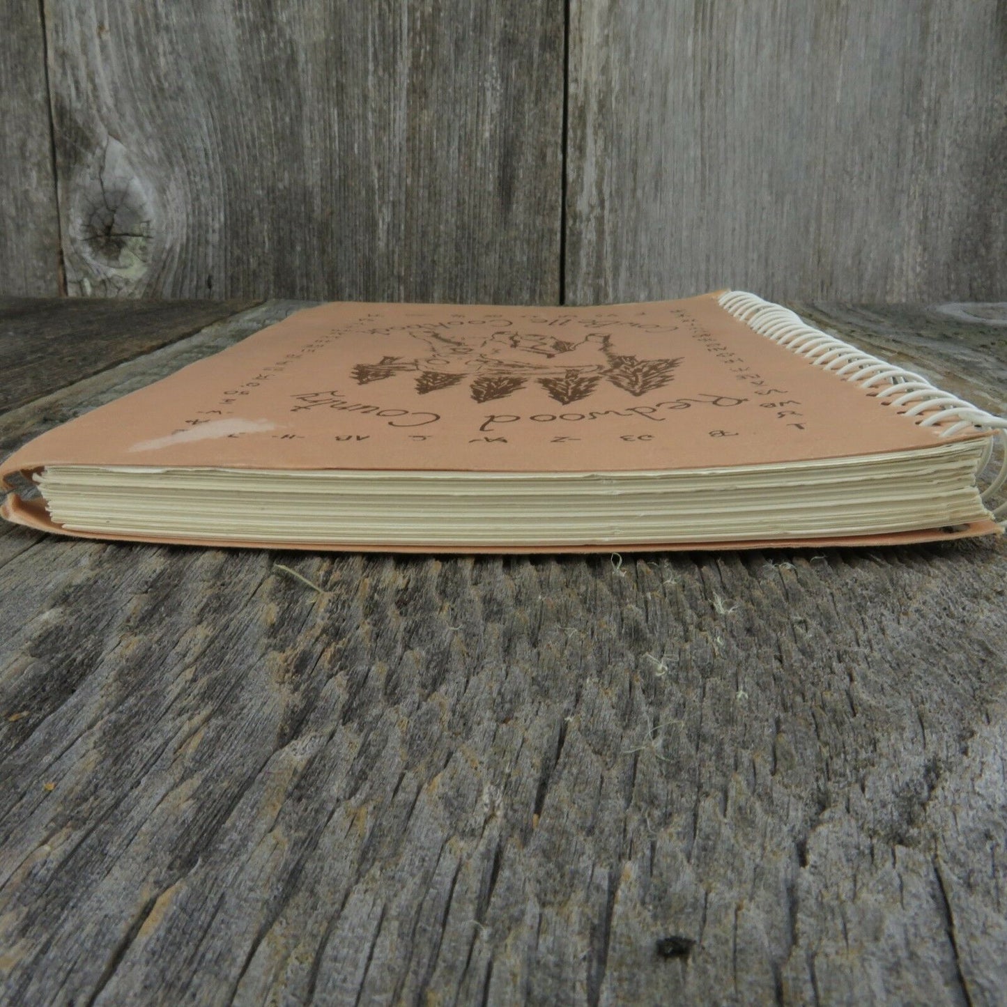 Vintage California Cookbook Ferndale Redwood Country Cow Belle Beef Belles - At Grandma's Table