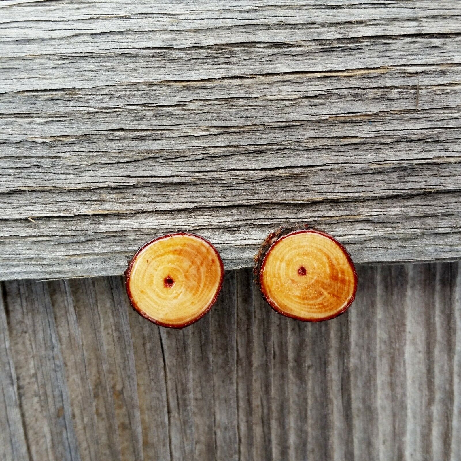 Wood Stud Earrings Redwood Tree Limb Faux Plug Handmade California Jewelry - At Grandma's Table