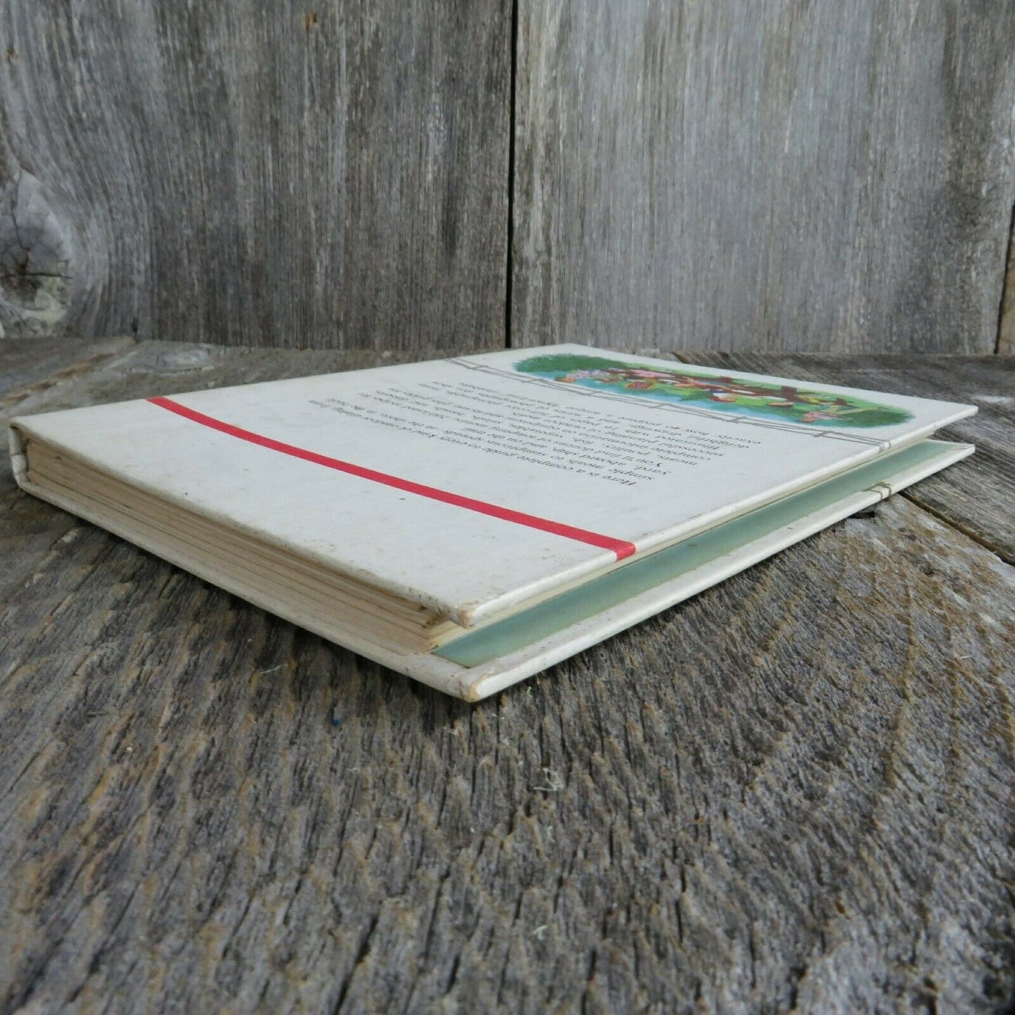 Vintage Cookbook Betty Crocker Outdoor First Edition Third Printing 1961 BBQ - At Grandma's Table