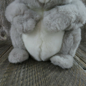 Sidney Koala Plush Stuffed Animal Dakin Lou Rankin Friends Applause Sad Eyes - At Grandma's Table