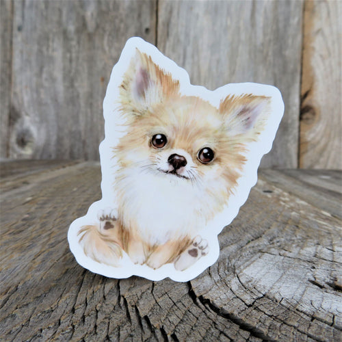 Pomeranian Puppy Dog Sticker Chihuahua Decal Long Haired Tan Full Color Cartoon Waterproof Dog Lover Sticker for Car Water Bottle Laptop