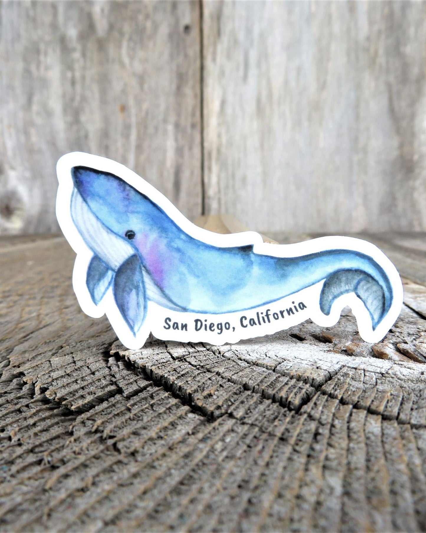 San Diego Blue Whale Sticker California Full Color Waterproof Souvenir Car Water Bottle Laptop Memento