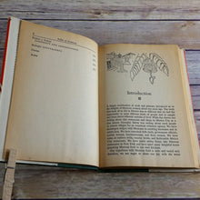Load image into Gallery viewer, Vintage Mexican Cookbook The Art of Mexican Cooking Recipes 1981 Jan Aaron Georgine Salom Hardcover with Dust Jacket