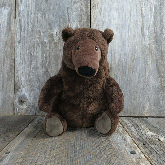 Brown Bear Plush Perfect Day Grizzly  Kohls Cares Stuffed Animal Lane Smith