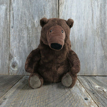 Load image into Gallery viewer, Brown Bear Plush Perfect Day Grizzly  Kohls Cares Stuffed Animal Lane Smith