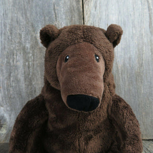 Brown Bear Plush Perfect Day Grizzly  Kohls Cares Stuffed Animal Lane Smith