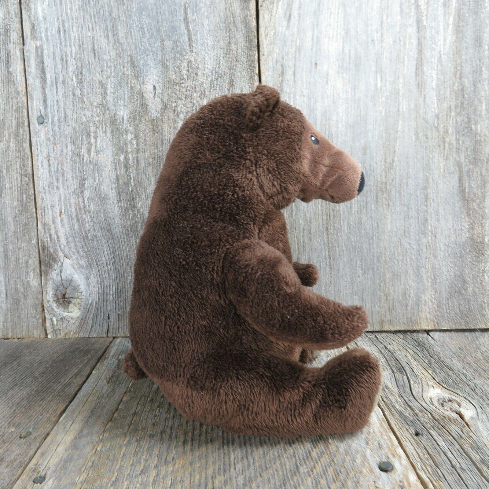 Kohls Cares Brown Bear You Can Do It Sam Plush Bear Stuffed 