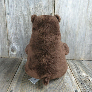 Brown Bear Plush Perfect Day Grizzly  Kohls Cares Stuffed Animal Lane Smith